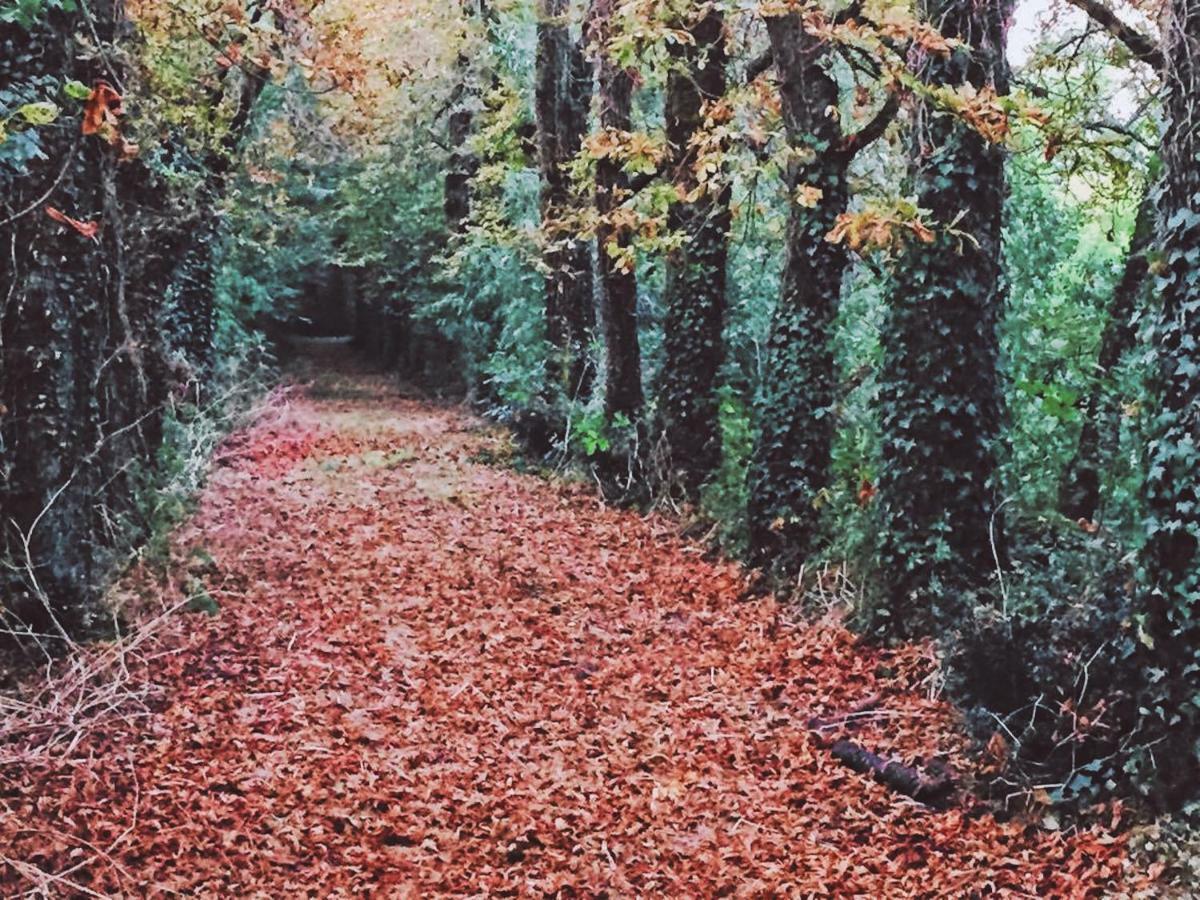 Gîtes Les Demeures de Valette Azay-le-Brule Extérieur photo